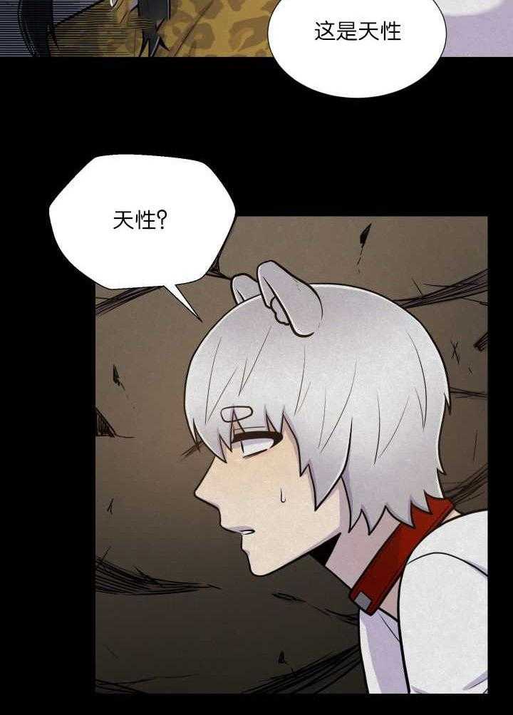 旷野之息（共2季） 第58话 第15页