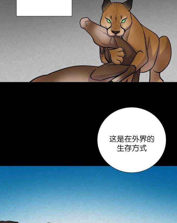 旷野之息（共2季） 第58话 第19页