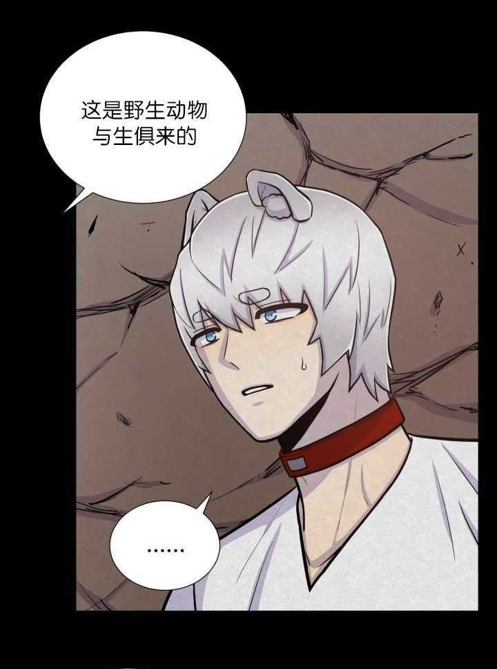 旷野之息（共2季） 第59话 第0页