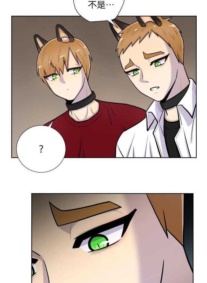 旷野之息（共2季） 第59话 第19页