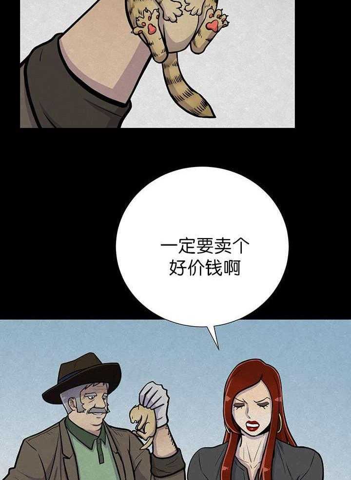 旷野之息（共2季） 第6话 第1页