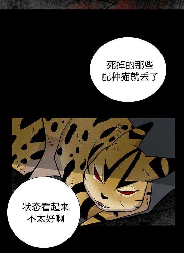 旷野之息（共2季） 第6话 第4页