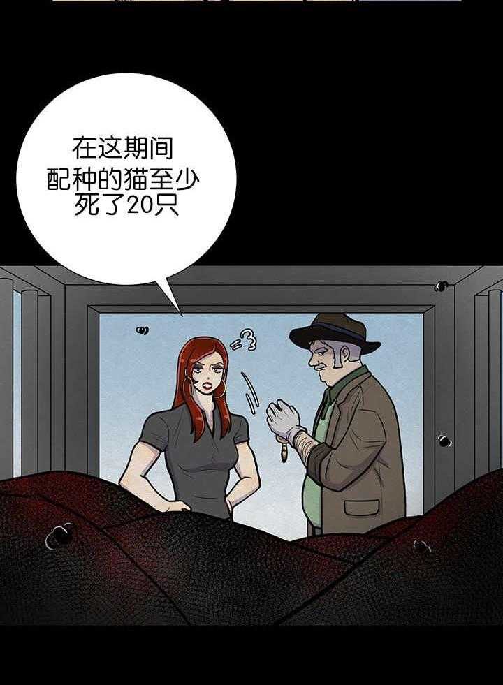 旷野之息（共2季） 第6话 第8页