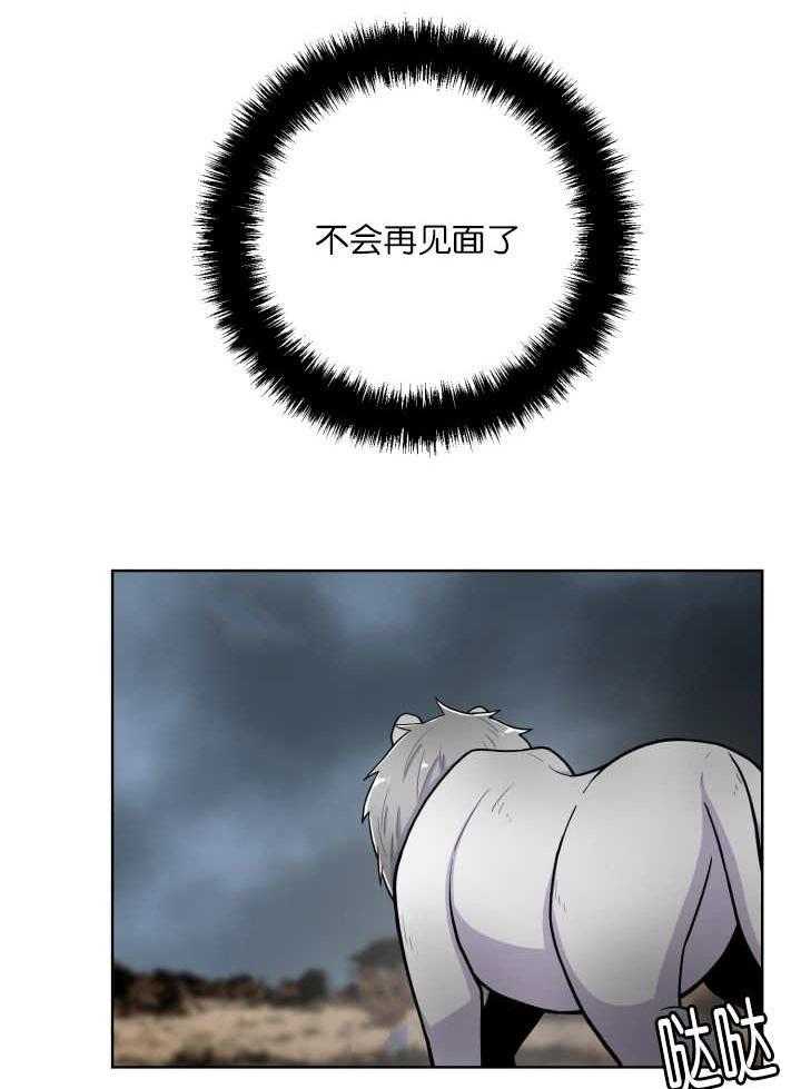 旷野之息（共2季） 第60话 第11页