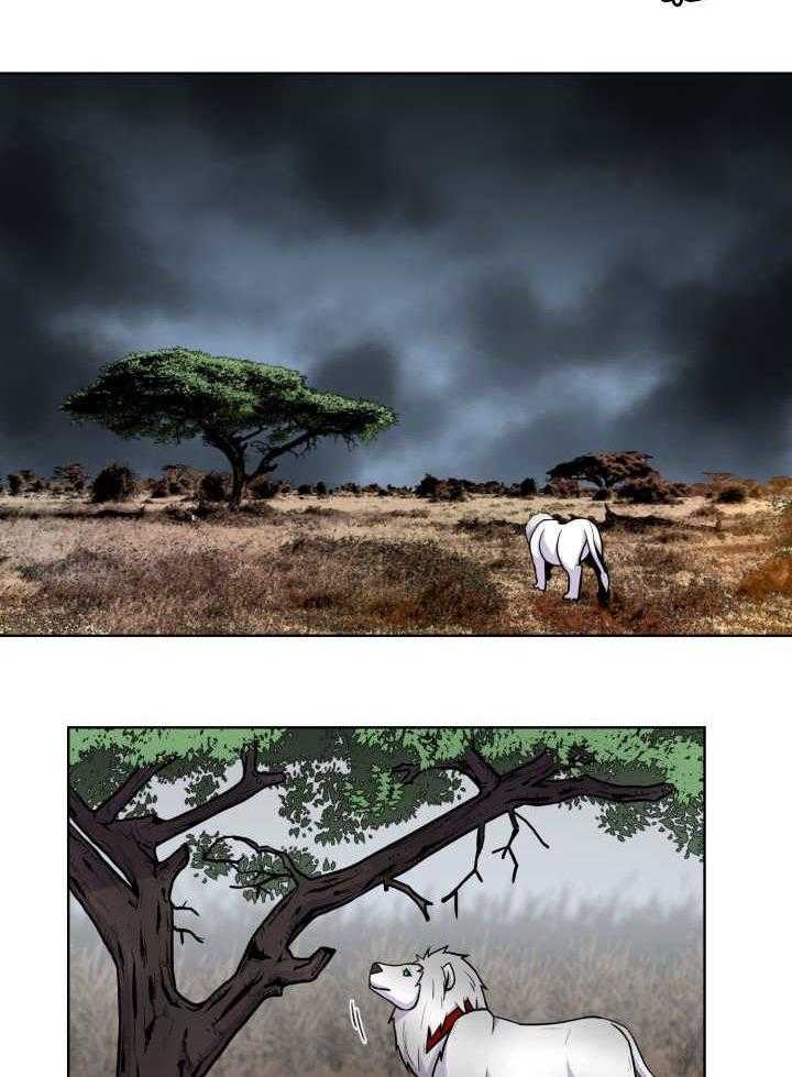 旷野之息（共2季） 第60话 第12页