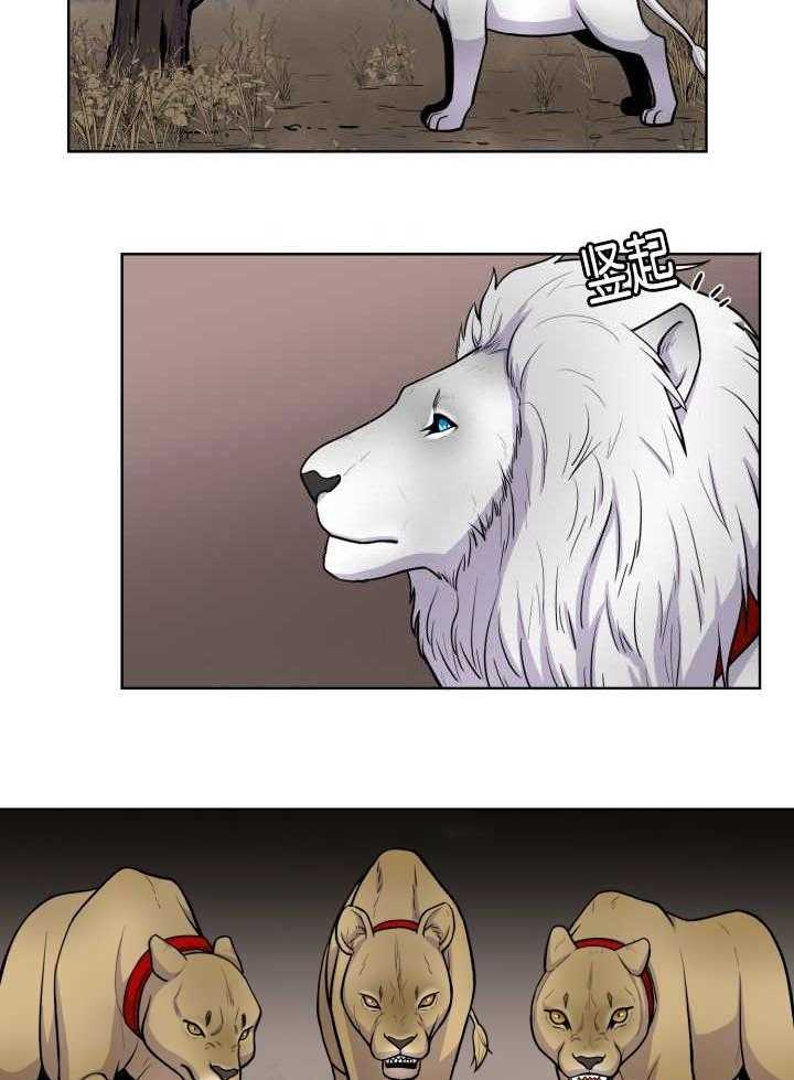 旷野之息（共2季） 第60话 第13页