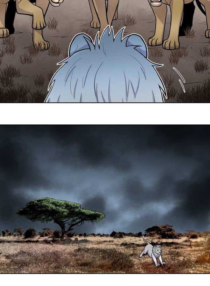 旷野之息（共2季） 第60话 第14页