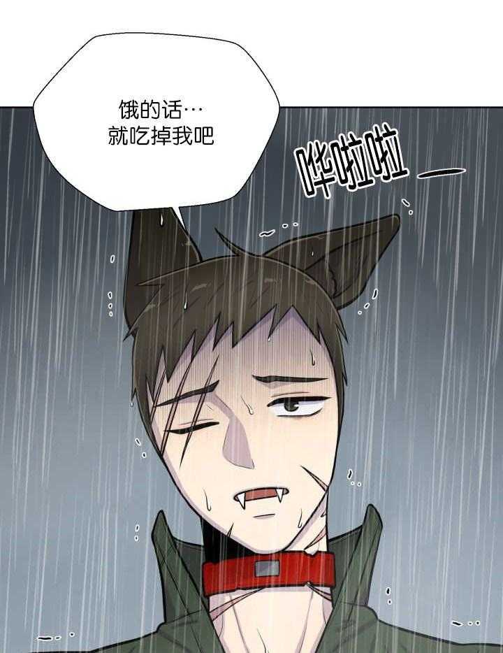 旷野之息（共2季）第61话图