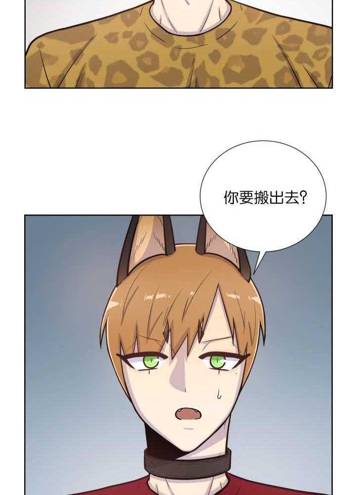 旷野之息（共2季） 第62话 第1页