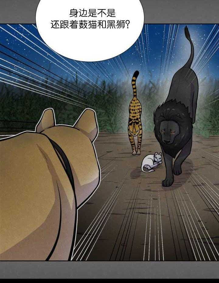 旷野之息（共2季） 第62话 第16页