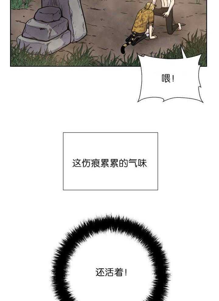 旷野之息（共2季） 第65话 第12页