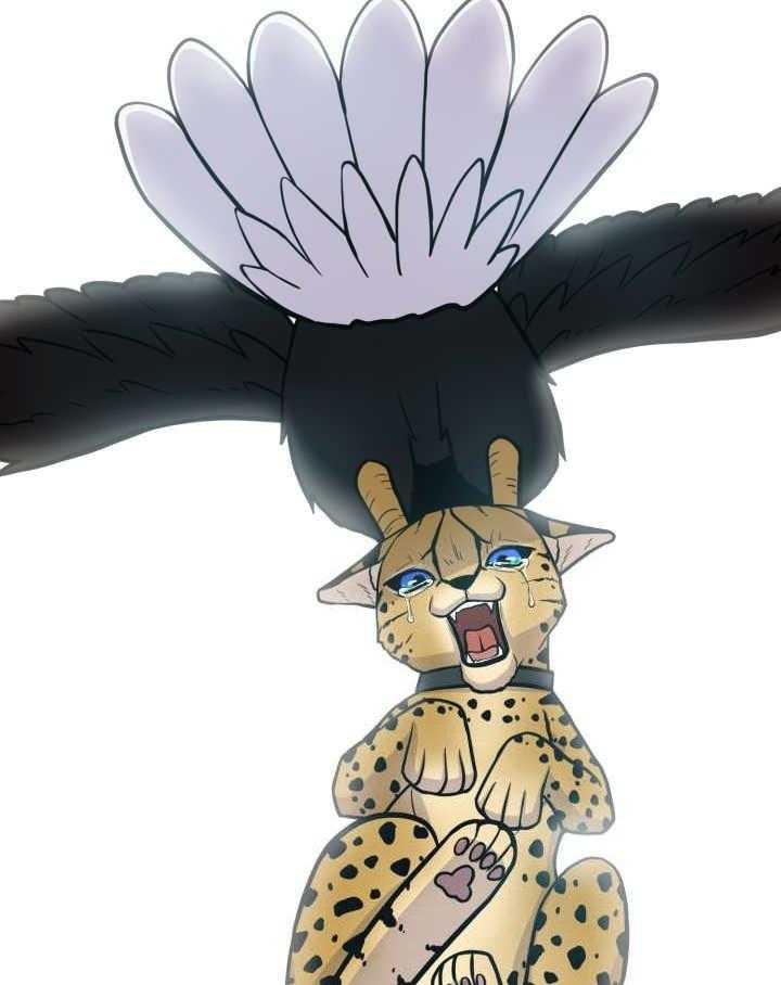 旷野之息（共2季） 第65话 第18页