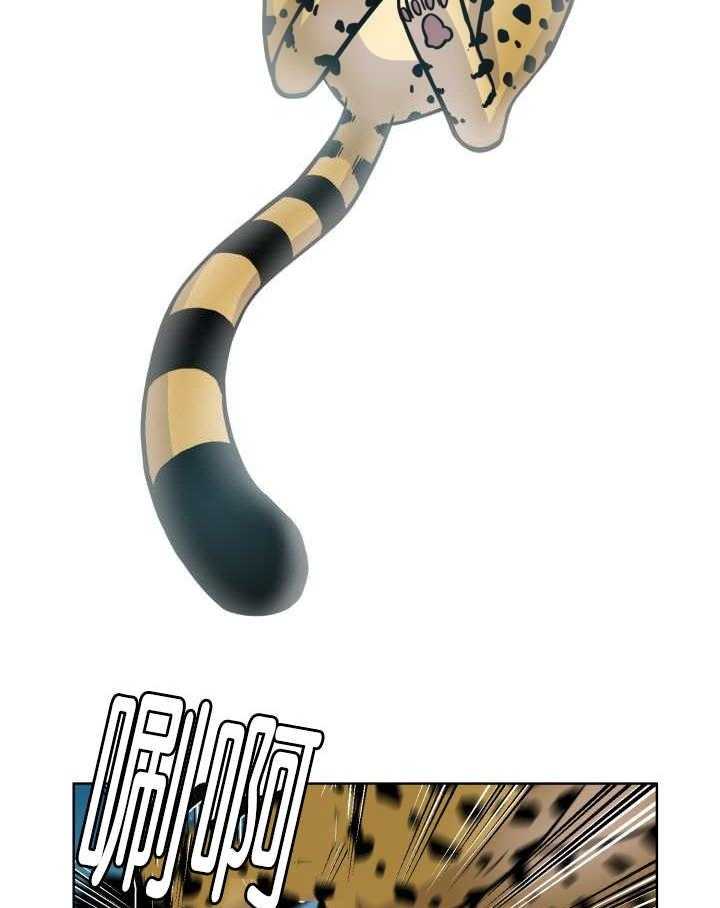 旷野之息（共2季） 第65话 第19页