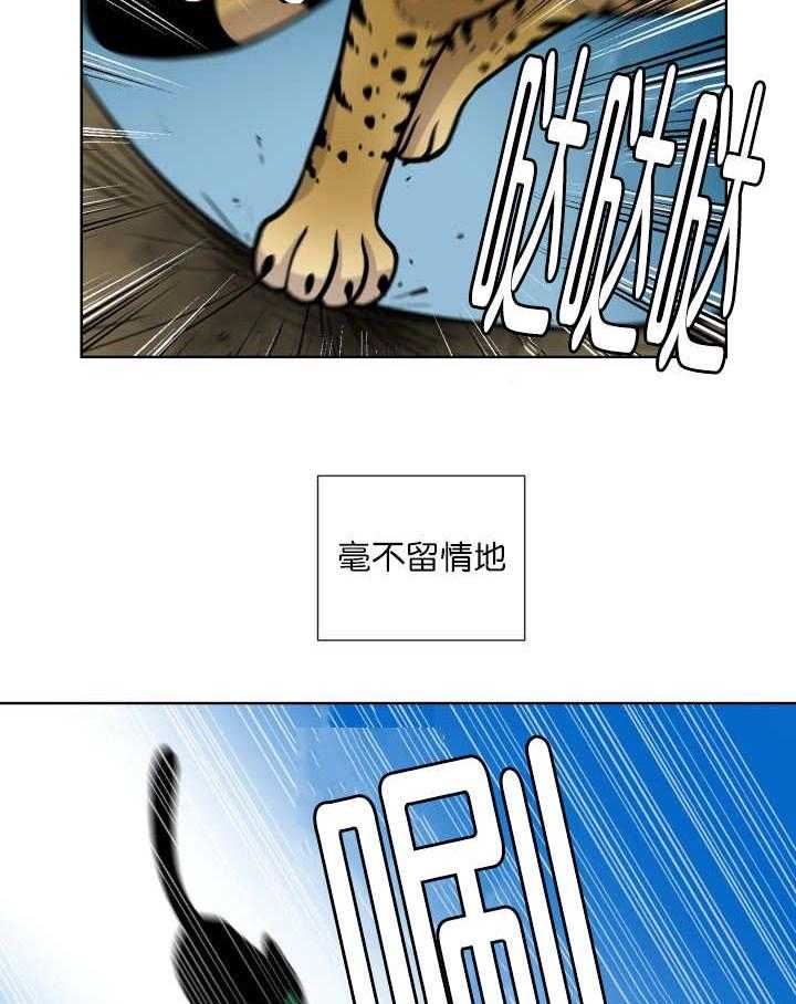 旷野之息（共2季） 第65话 第20页