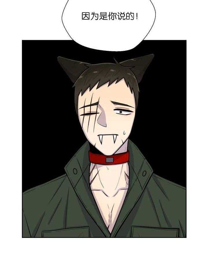 旷野之息（共2季） 第66话 第17页