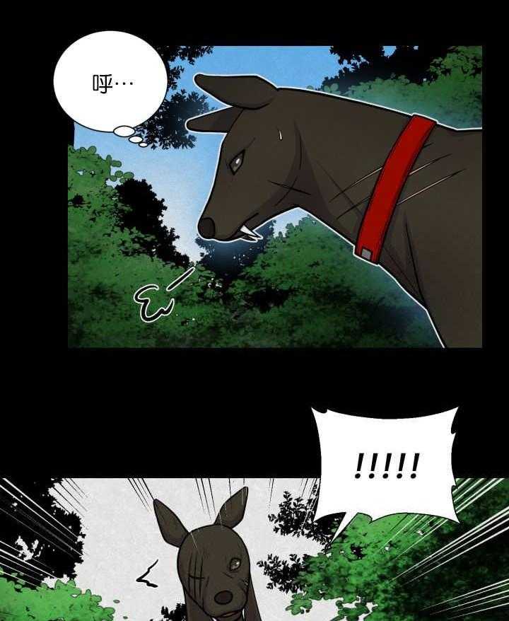 旷野之息（共2季） 第68话 第28页