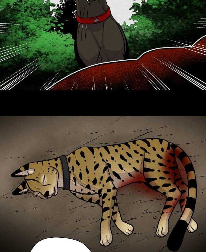 旷野之息（共2季） 第68话 第29页