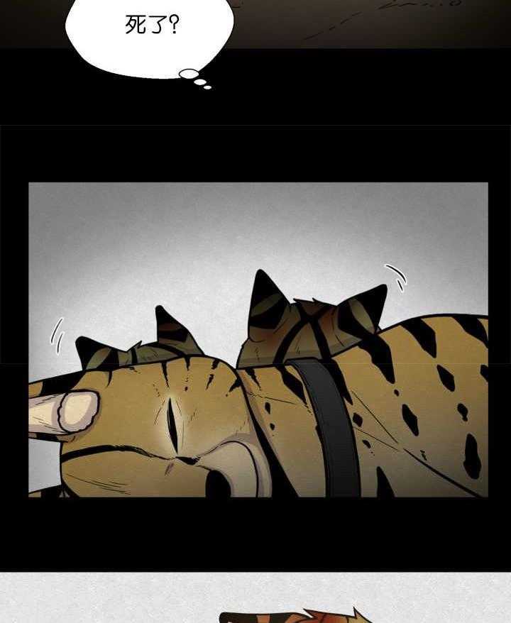 旷野之息（共2季） 第68话 第30页