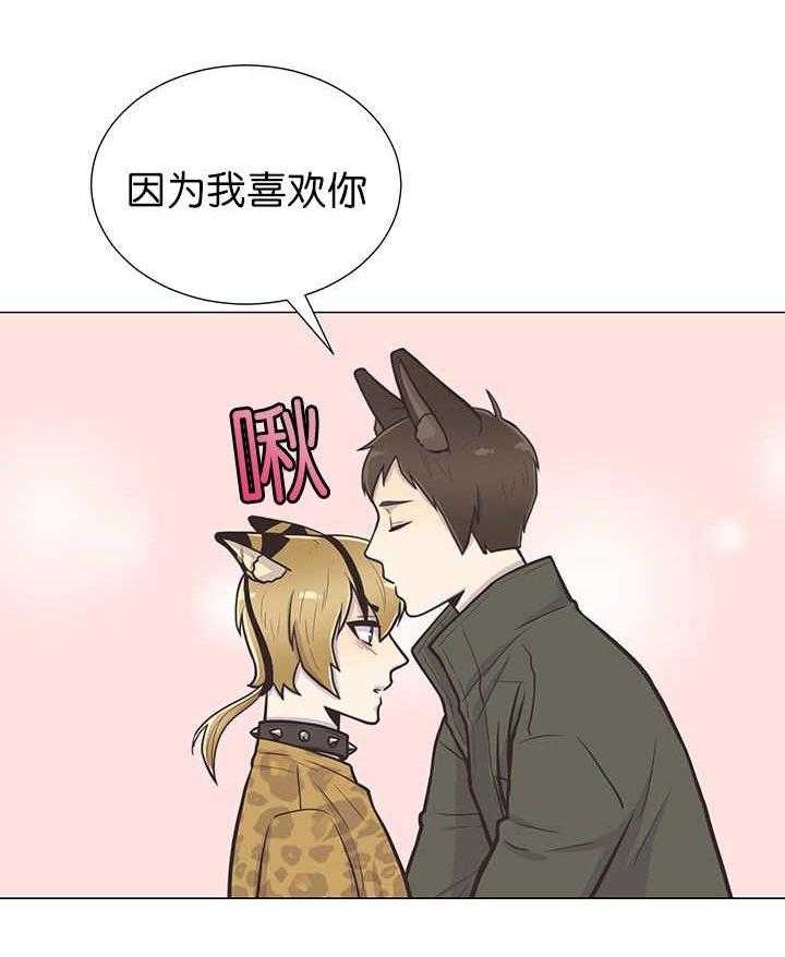 旷野之息（共2季） 第7话 第13页