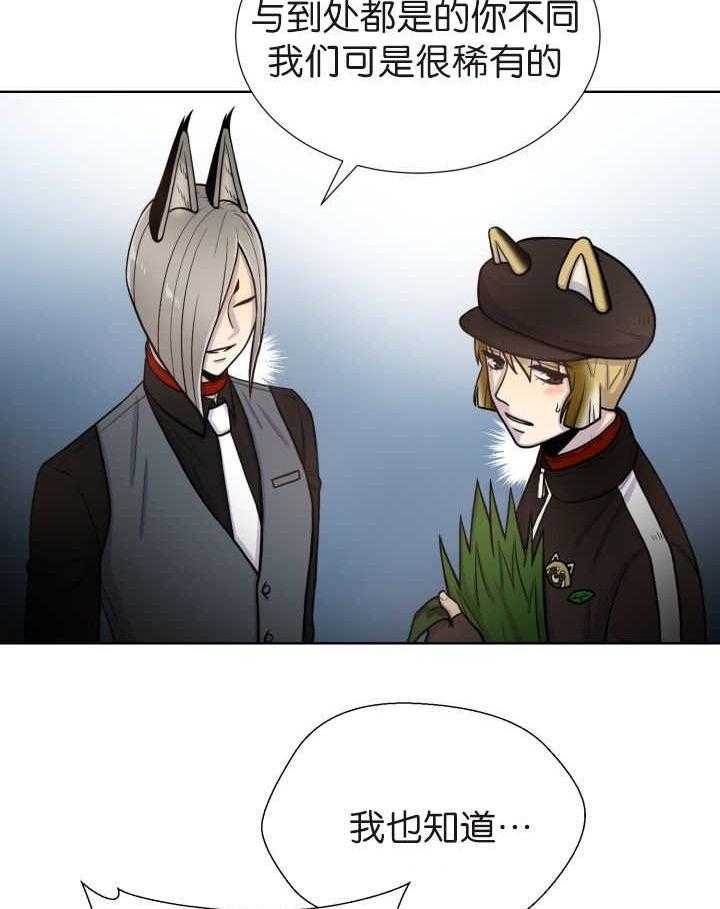 旷野之息（共2季） 第74话 第20页