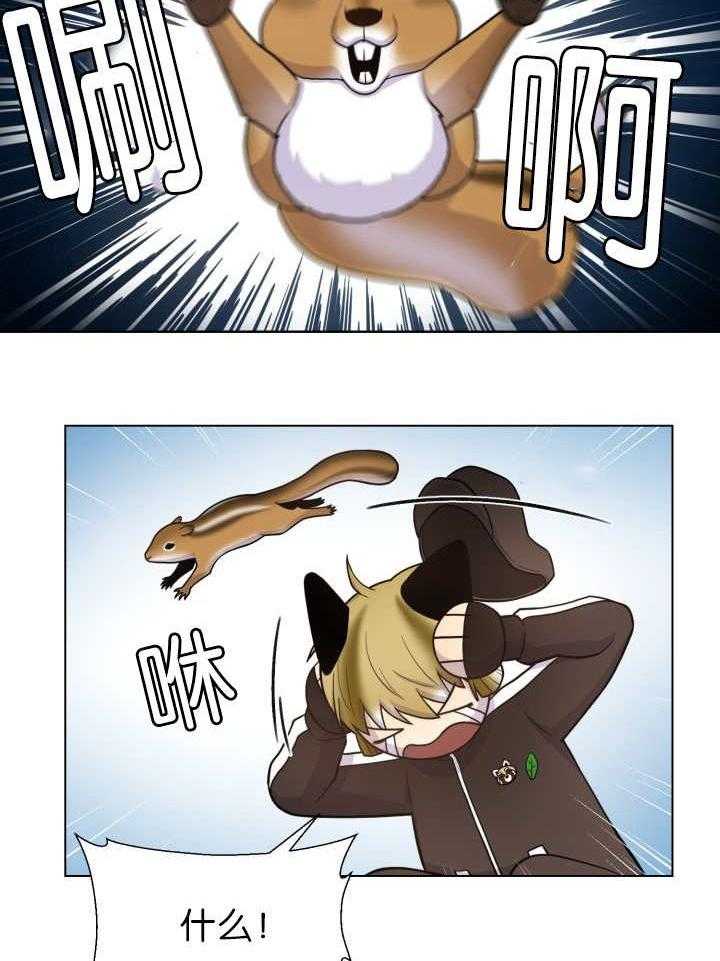 旷野之息（共2季） 第79话 第3页