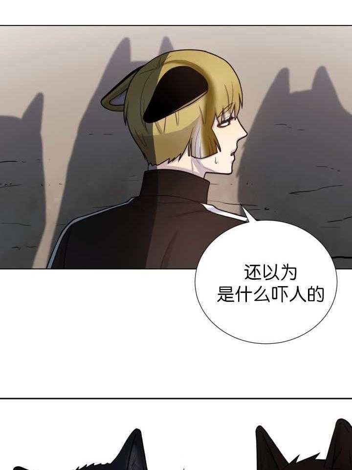 旷野之息（共2季） 第79话 第5页