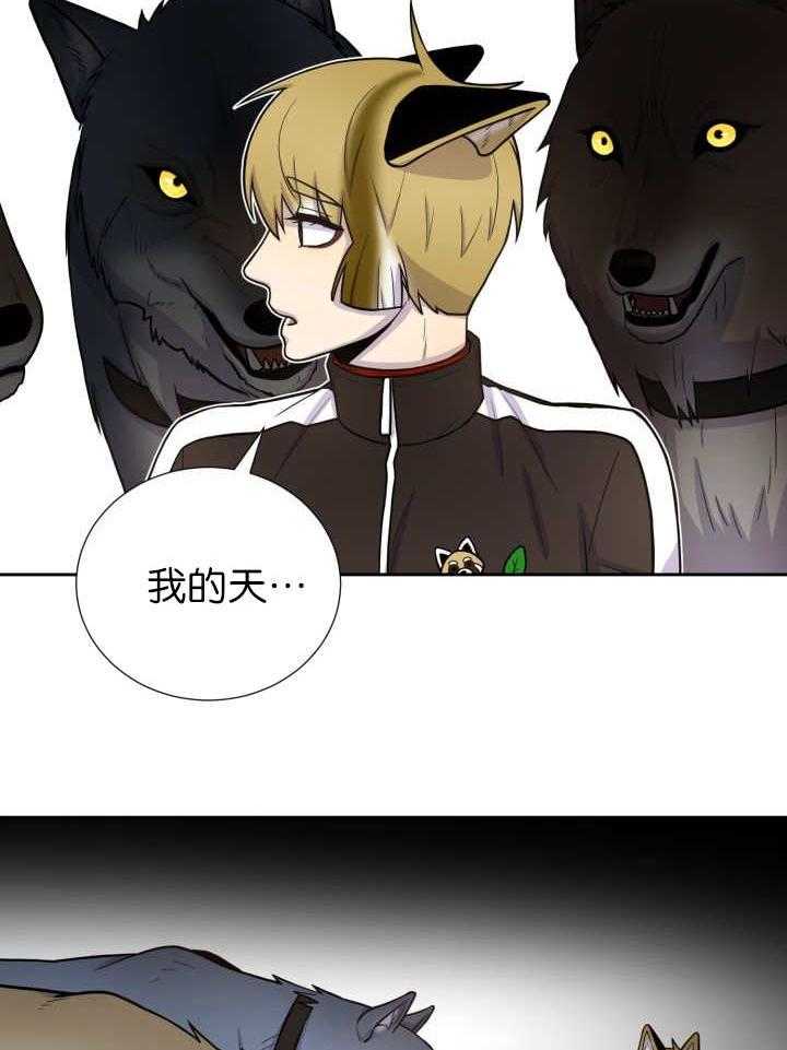 旷野之息（共2季） 第79话 第6页