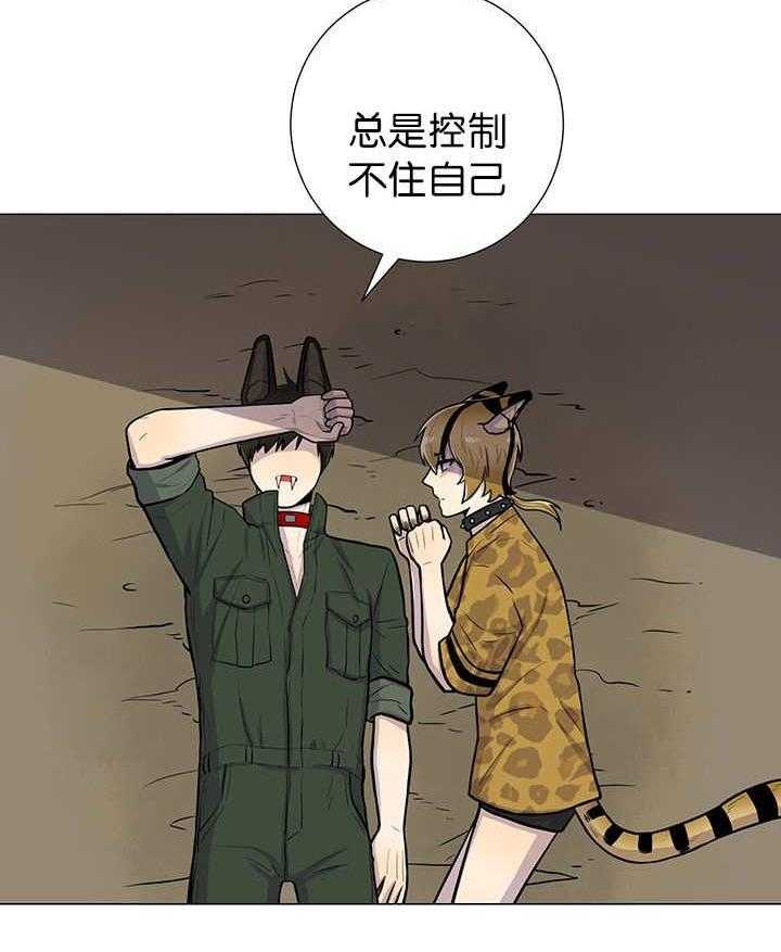 旷野之息（共2季） 第8话 第6页