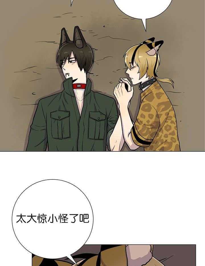 旷野之息（共2季） 第8话 第12页