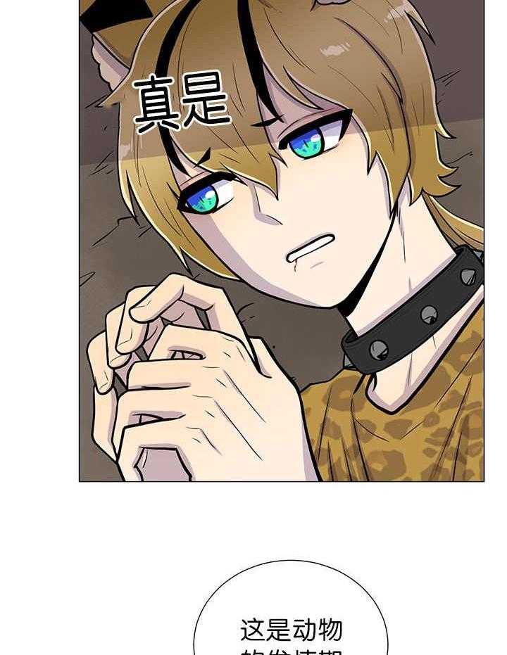 旷野之息（共2季） 第8话 第13页