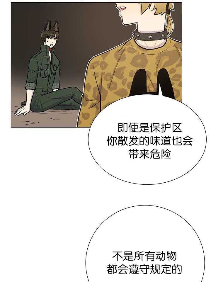 旷野之息（共2季） 第8话 第19页