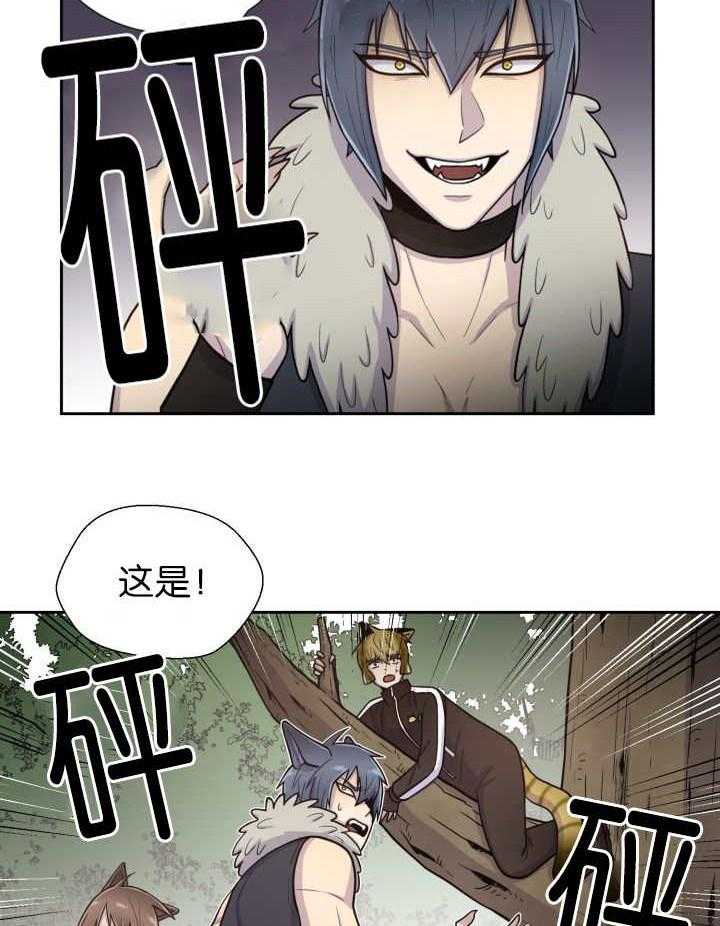 旷野之息（共2季） 第80话 第12页