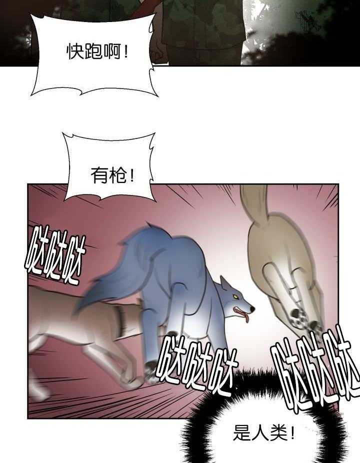 旷野之息（共2季） 第80话 第14页