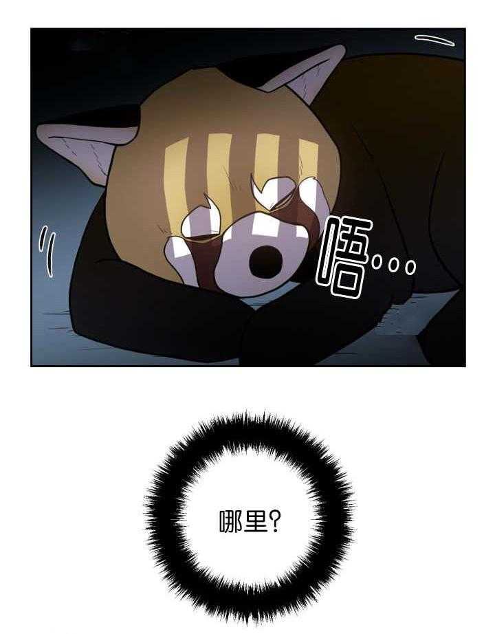 旷野之息（共2季） 第81话 第1页