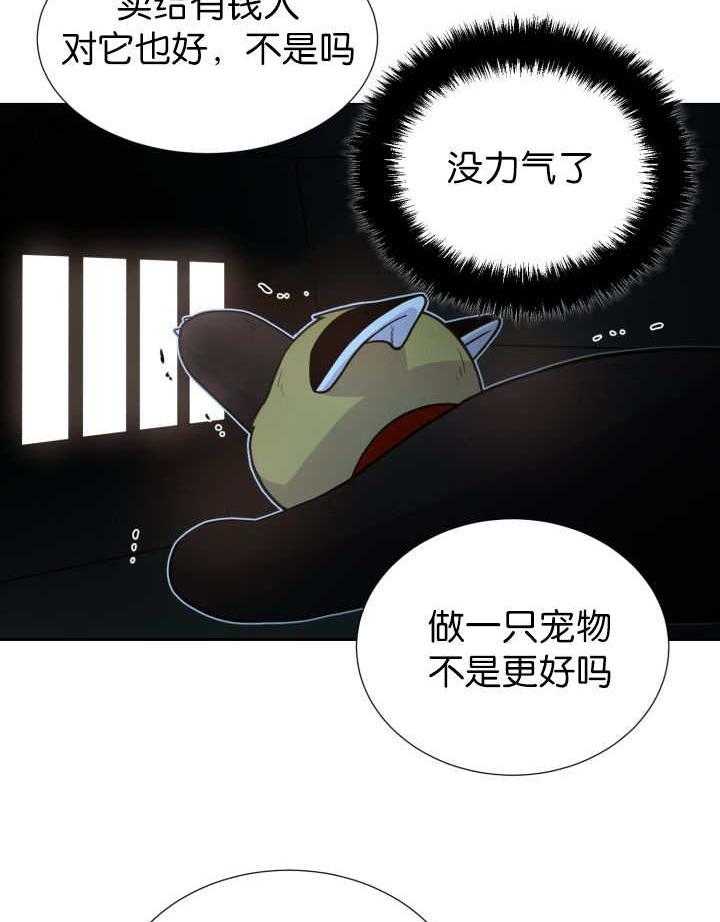 旷野之息（共2季） 第81话 第6页