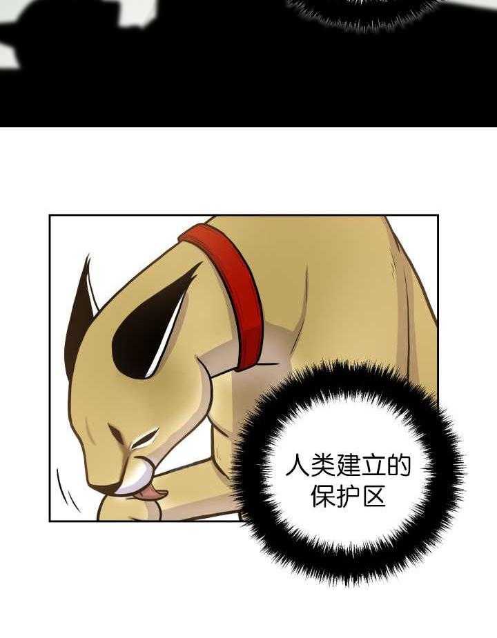 旷野之息（共2季） 第85话 第2页