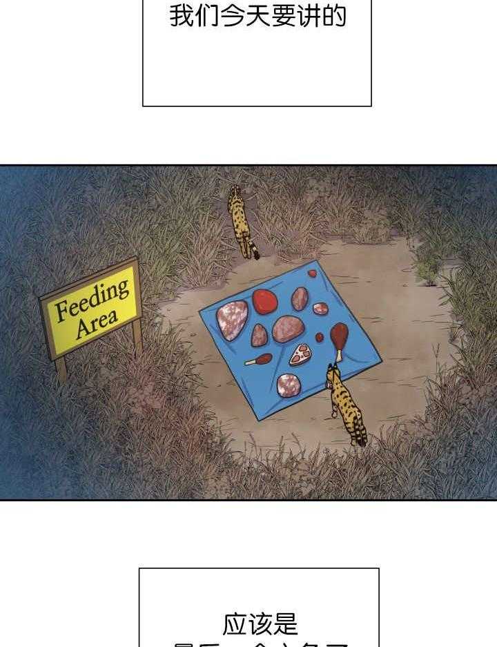 旷野之息（共2季） 第85话 第15页