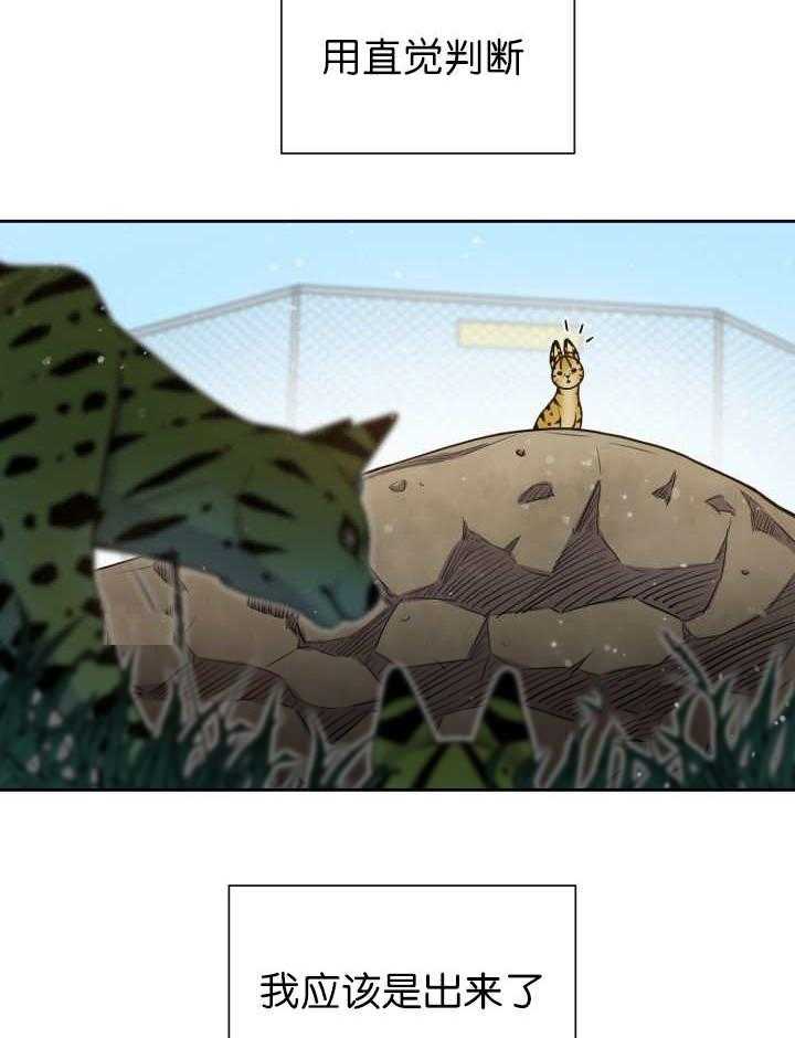 旷野之息（共2季） 第86话 第20页