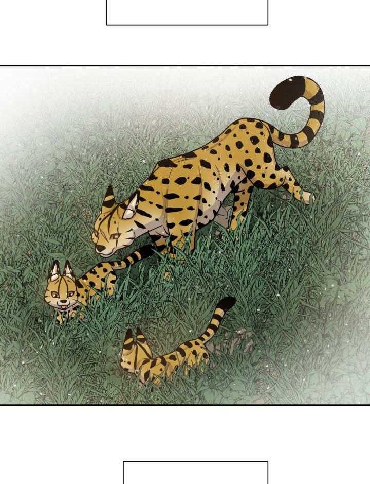 旷野之息（共2季） 第86话 第21页