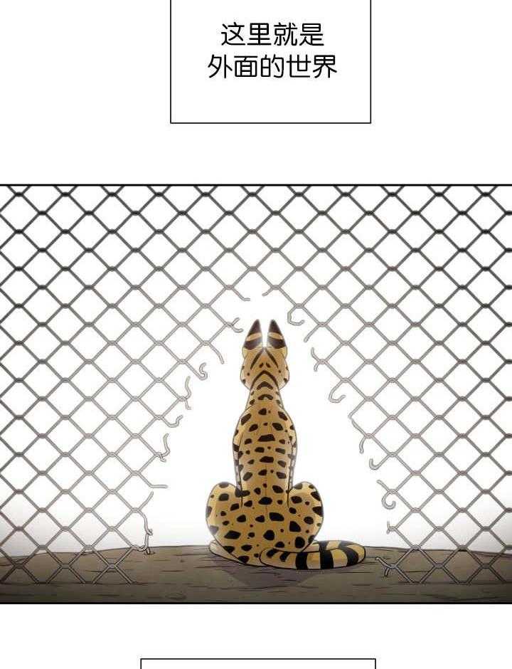 旷野之息（共2季） 第86话 第22页