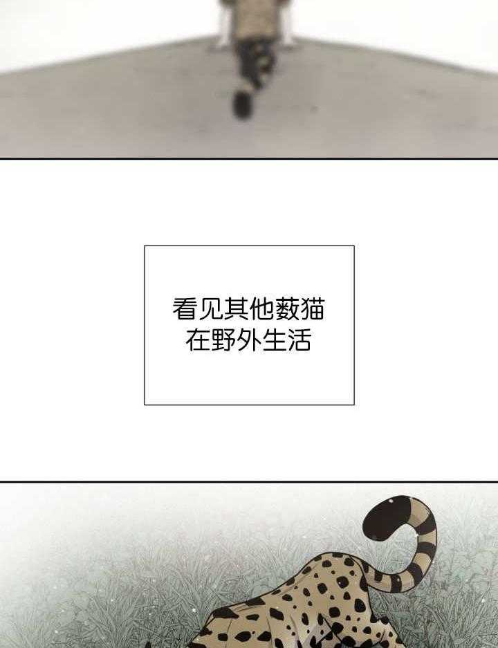 旷野之息（共2季） 第87话 第32页