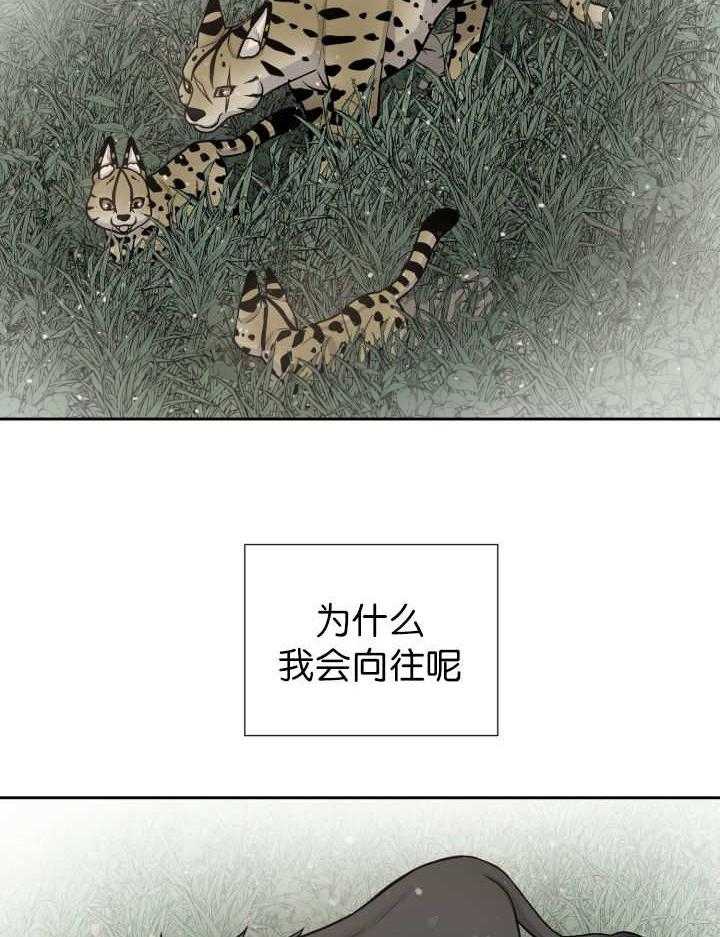 旷野之息（共2季） 第87话 第33页