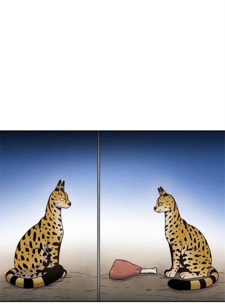 旷野之息（共2季） 第88话 第12页