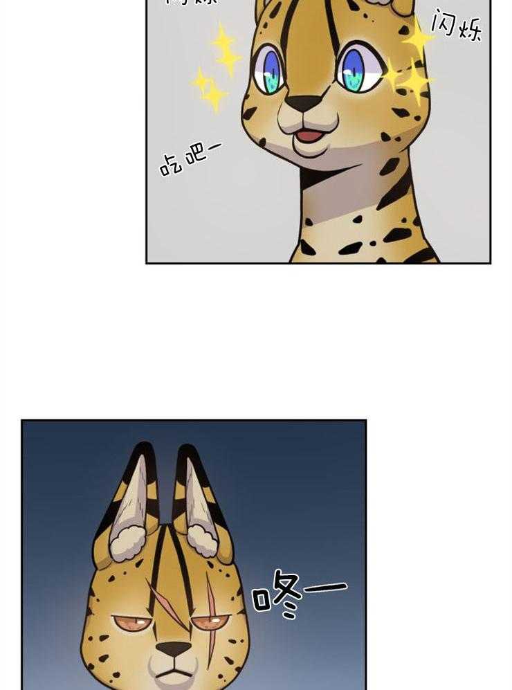 旷野之息（共2季） 第88话 第14页