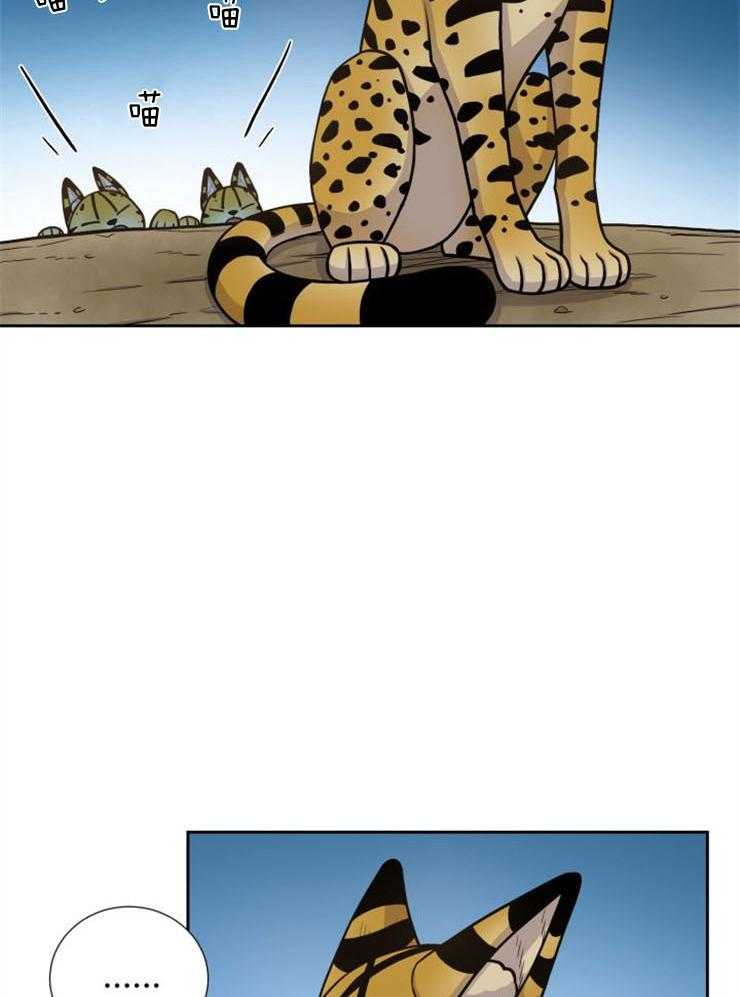 旷野之息（共2季） 第88话 第16页