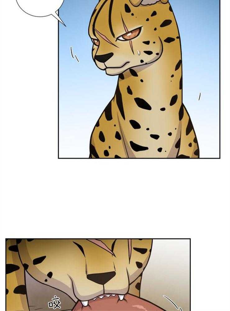 旷野之息（共2季） 第88话 第17页