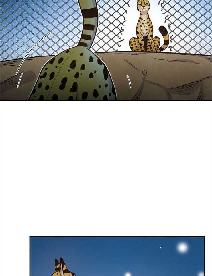 旷野之息（共2季） 第88话 第19页