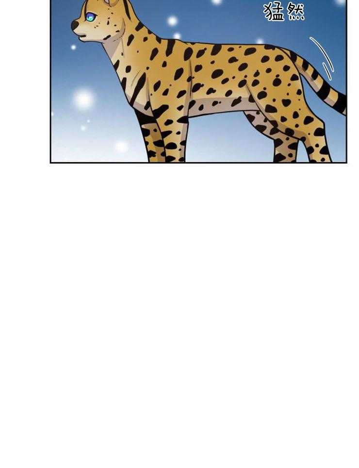 旷野之息（共2季） 第88话 第20页