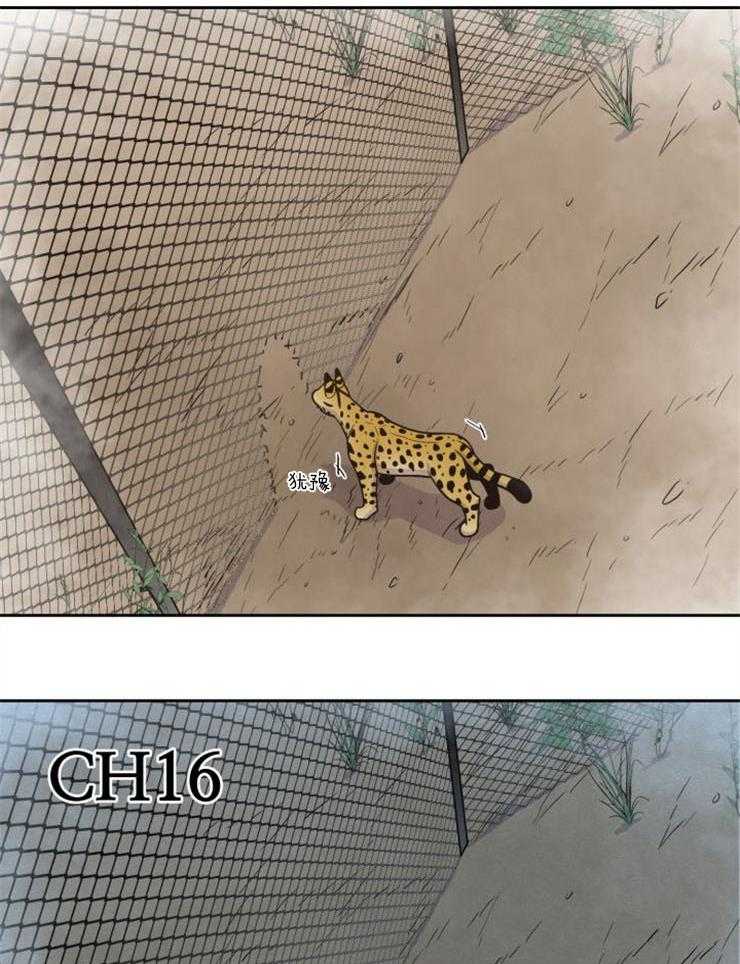 旷野之息（共2季） 第88话 第21页