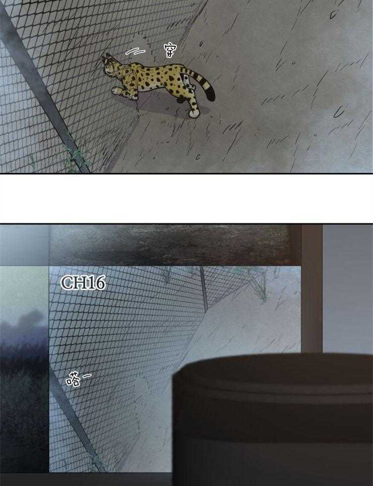 旷野之息（共2季） 第88话 第22页